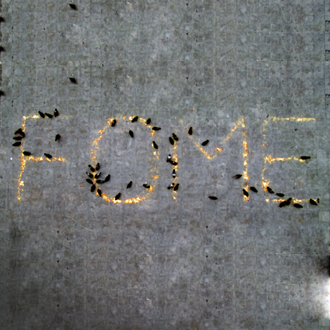 Fome